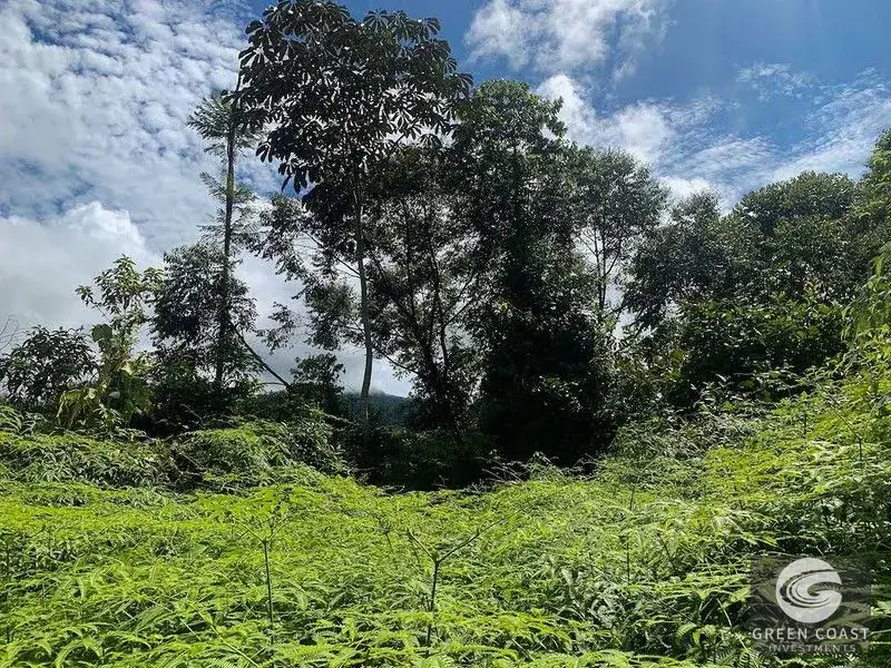 47-Acre Ocean View Farm in Ojochal with Natural Springs, River, and Fruit Orchards — view 10, Ojochal, Costa Rica