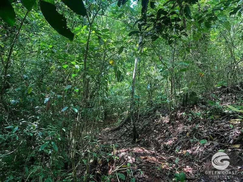 47-Acre Ocean View Farm in Ojochal with Natural Springs, River, and Fruit Orchards — view 12, Ojochal, Costa Rica