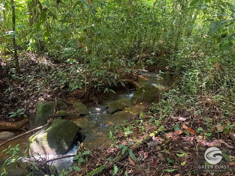 47-Acre Ocean View Farm in Ojochal with Natural Springs, River, and Fruit Orchards — view 15, Ojochal, Costa Rica