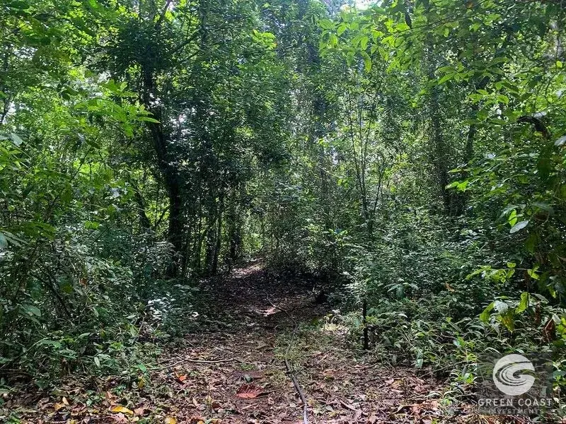 47-Acre Ocean View Farm in Ojochal with Natural Springs, River, and Fruit Orchards — view 16, Ojochal, Costa Rica