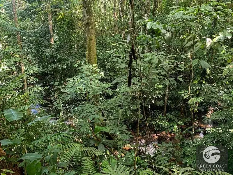 47-Acre Ocean View Farm in Ojochal with Natural Springs, River, and Fruit Orchards — view 18, Ojochal, Costa Rica