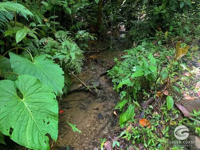 47-Acre Ocean View Farm in Ojochal with Natural Springs, River, and Fruit Orchards — view 20, Ojochal, Costa Rica