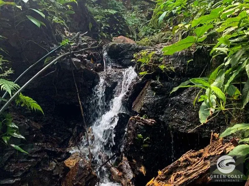 47-Acre Ocean View Farm in Ojochal with Natural Springs, River, and Fruit Orchards — view 21, Ojochal, Costa Rica