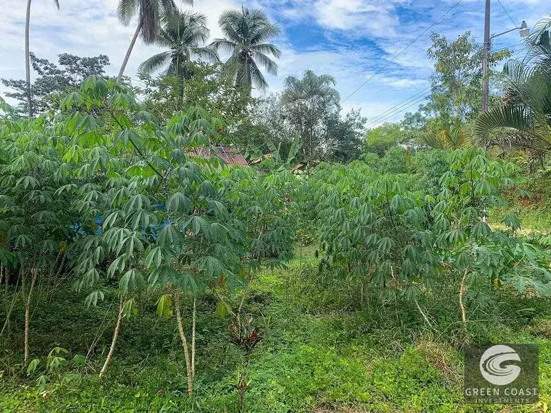 47-Acre Ocean View Farm in Ojochal with Natural Springs, River, and Fruit Orchards — view 22, Ojochal, Costa Rica