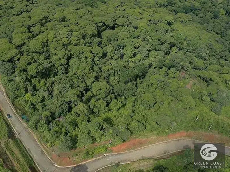 47-Acre Ocean View Farm in Ojochal with Natural Springs, River, and Fruit Orchards — view 23, Ojochal, Costa Rica