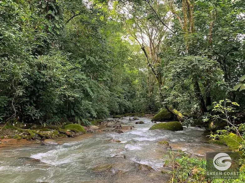 47-Acre Ocean View Farm in Ojochal with Natural Springs, River, and Fruit Orchards — view 30, Ojochal, Costa Rica