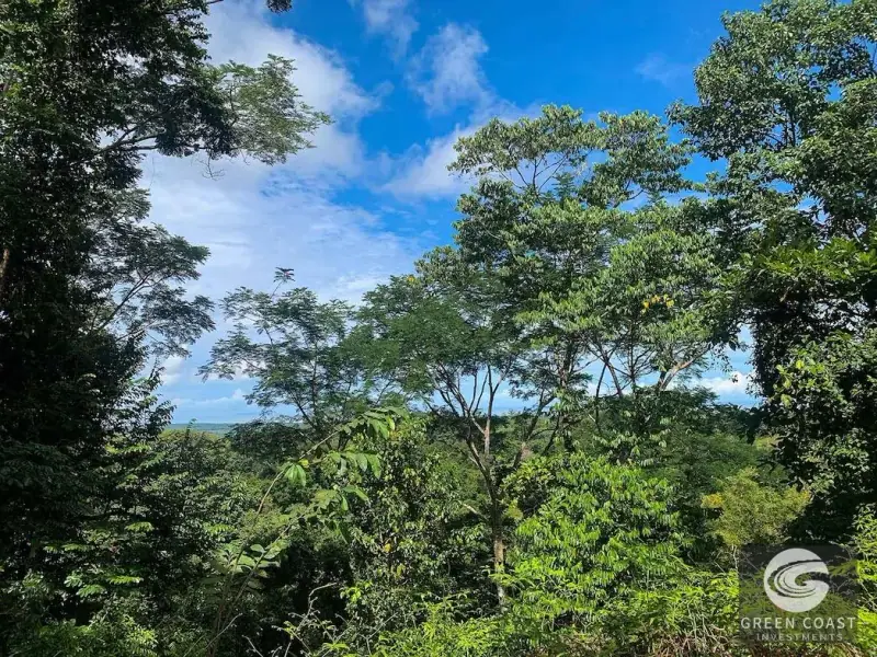 47-Acre Ocean View Farm in Ojochal with Natural Springs, River, and Fruit Orchards — view 33, Ojochal, Costa Rica