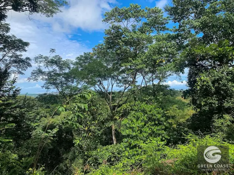 47-Acre Ocean View Farm in Ojochal with Natural Springs, River, and Fruit Orchards — view 36, Ojochal, Costa Rica