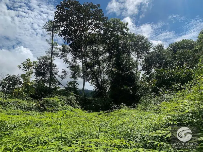 47-Acre Ocean View Farm in Ojochal with Natural Springs, River, and Fruit Orchards — view 38, Ojochal, Costa Rica