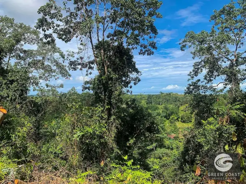 47-Acre Ocean View Farm in Ojochal with Natural Springs, River, and Fruit Orchards — view 39, Ojochal, Costa Rica