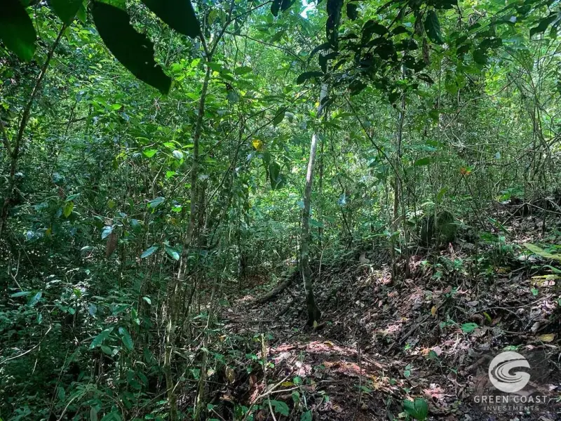 47-Acre Ocean View Farm in Ojochal with Natural Springs, River, and Fruit Orchards — view 40, Ojochal, Costa Rica