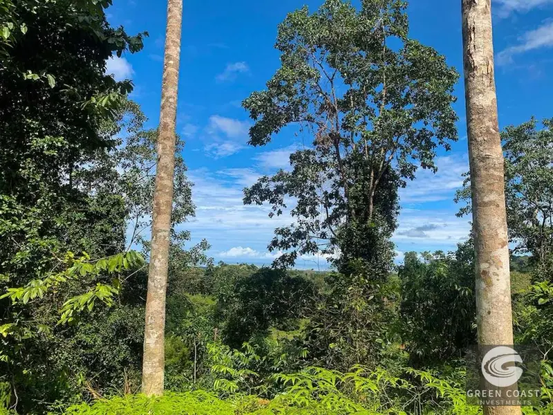 47-Acre Ocean View Farm in Ojochal with Natural Springs, River, and Fruit Orchards — view 41, Ojochal, Costa Rica