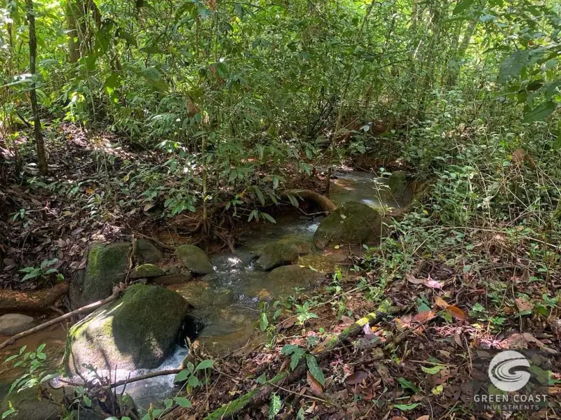 47-Acre Ocean View Farm in Ojochal with Natural Springs, River, and Fruit Orchards — view 43, Ojochal, Costa Rica