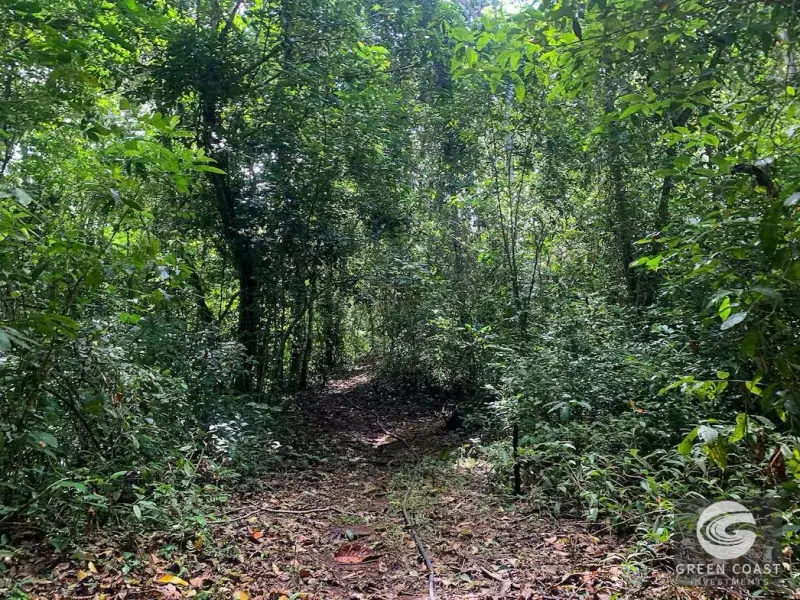 47-Acre Ocean View Farm in Ojochal with Natural Springs, River, and Fruit Orchards — view 44, Ojochal, Costa Rica