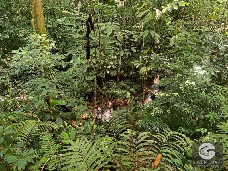47-Acre Ocean View Farm in Ojochal with Natural Springs, River, and Fruit Orchards — view 45, Ojochal, Costa Rica
