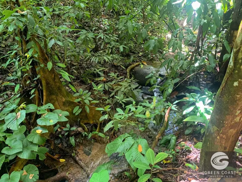 47-Acre Ocean View Farm in Ojochal with Natural Springs, River, and Fruit Orchards — view 47, Ojochal, Costa Rica