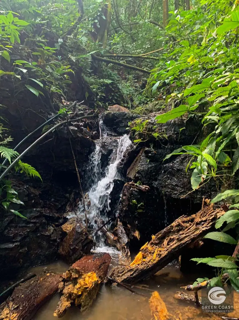 47-Acre Ocean View Farm in Ojochal with Natural Springs, River, and Fruit Orchards — view 49, Ojochal, Costa Rica