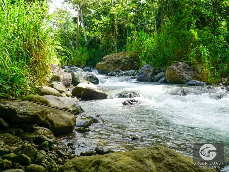 Luxury 5-BR Mountain River Estate with Pool in Quebradas, Perez Zeledon — view 6, Quebradas, Perez Zeledon, Costa Rica