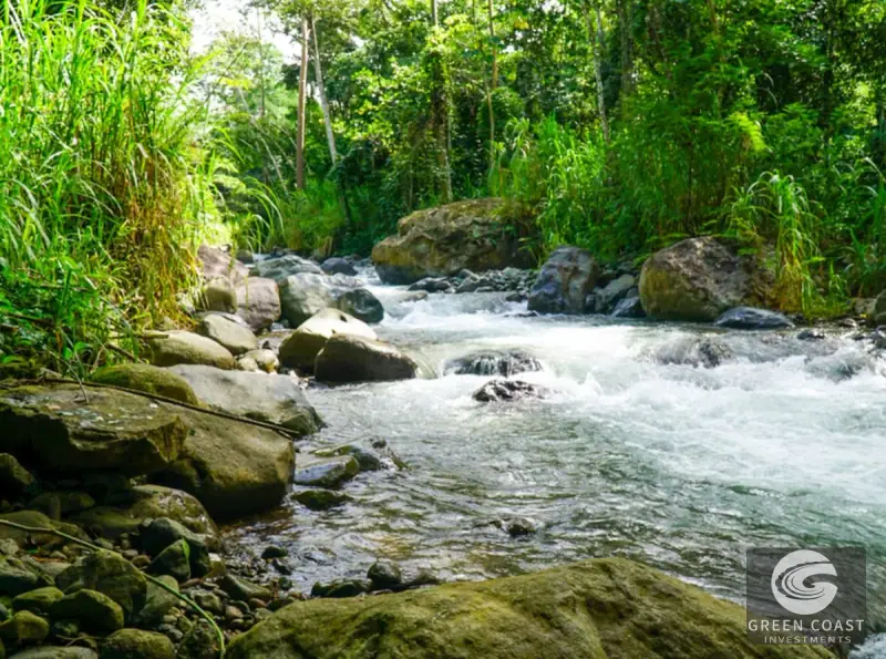 Luxury 5-BR Mountain River Estate with Pool in Quebradas, Perez Zeledon — view 40, Quebradas, Perez Zeledon, Costa Rica