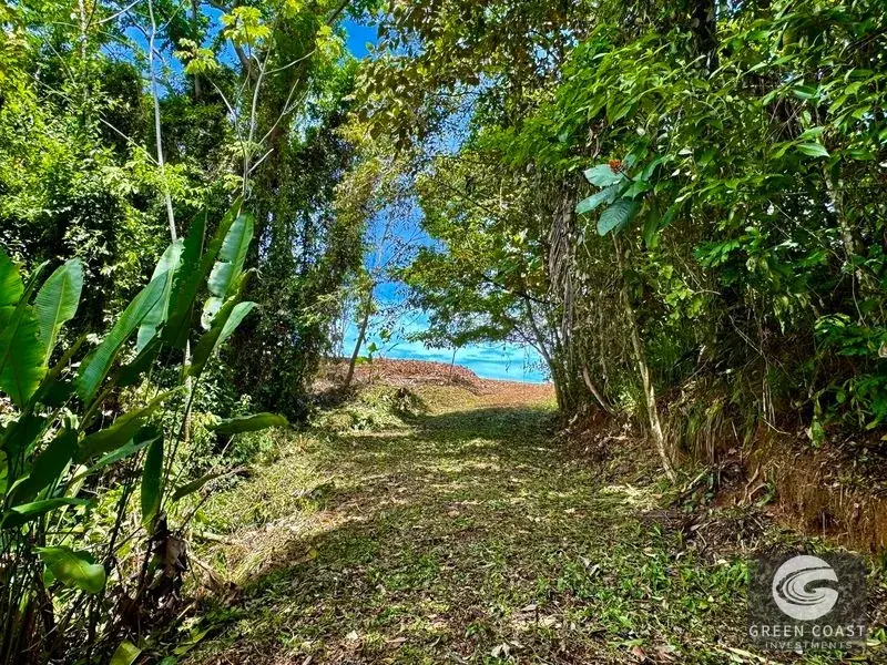 6-Acre Escaleras Ocean View Estate Lot Above Dominicalito Bay — view 7, Dominical, Costa Rica