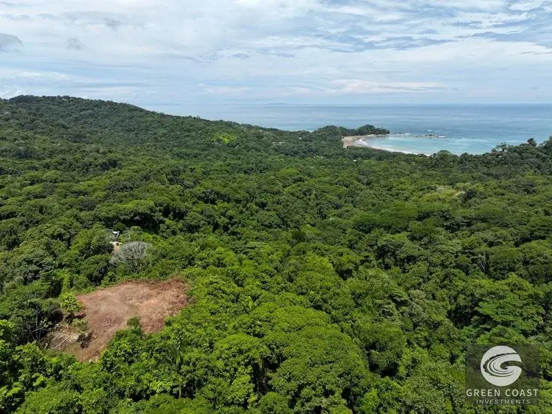 6-Acre Escaleras Ocean View Estate Lot Above Dominicalito Bay — view 8, Dominical, Costa Rica