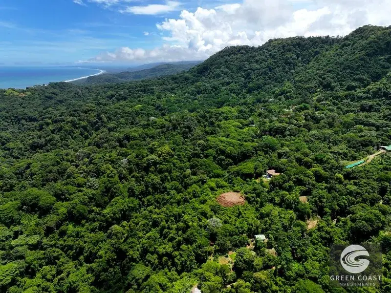 6-Acre Escaleras Ocean View Estate Lot Above Dominicalito Bay — view 15, Dominical, Costa Rica