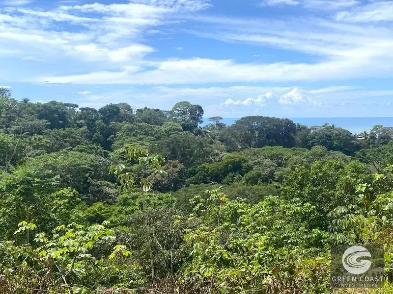 6-Acre Ocean View Development Parcel with Legal Water in Ojochal — view 16, Ojochal, Ojochal, Costa Rica