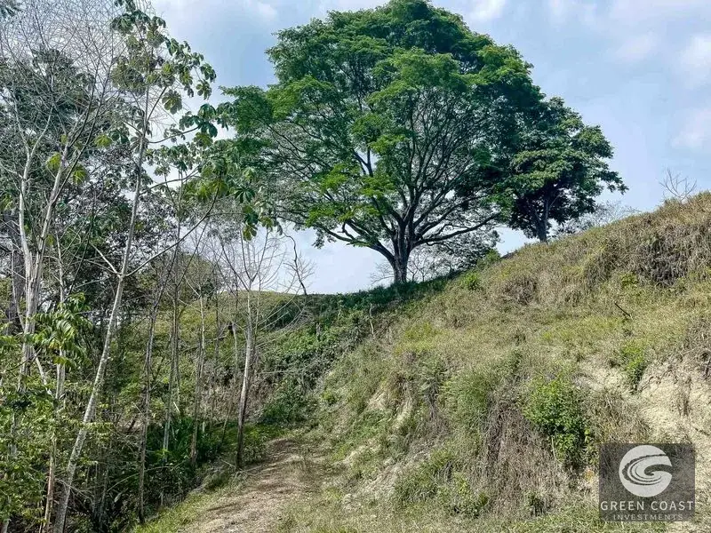 Prime Ocean-View Commercial Lot Near Marina Pez Vela — view 5, Quepos, Costa Rica