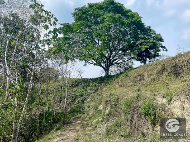 Prime Ocean-View Commercial Lot Near Marina Pez Vela — view 25, Quepos, Costa Rica
