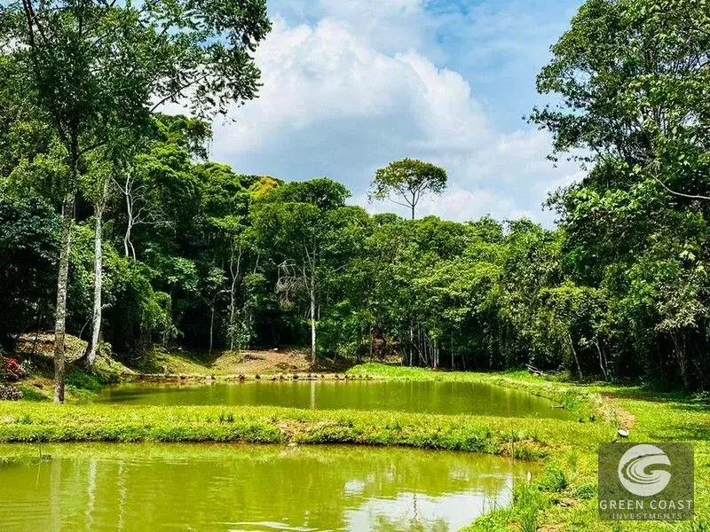San Isidro Riverfront Farm: 30 Acres with 6 Private Lakes, Springs & Rustic Furnished Home — view 6, Perez Zeledon, Costa Rica