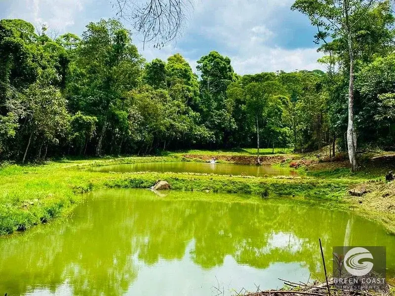 San Isidro Riverfront Farm: 30 Acres with 6 Private Lakes, Springs & Rustic Furnished Home — view 8, Perez Zeledon, Costa Rica