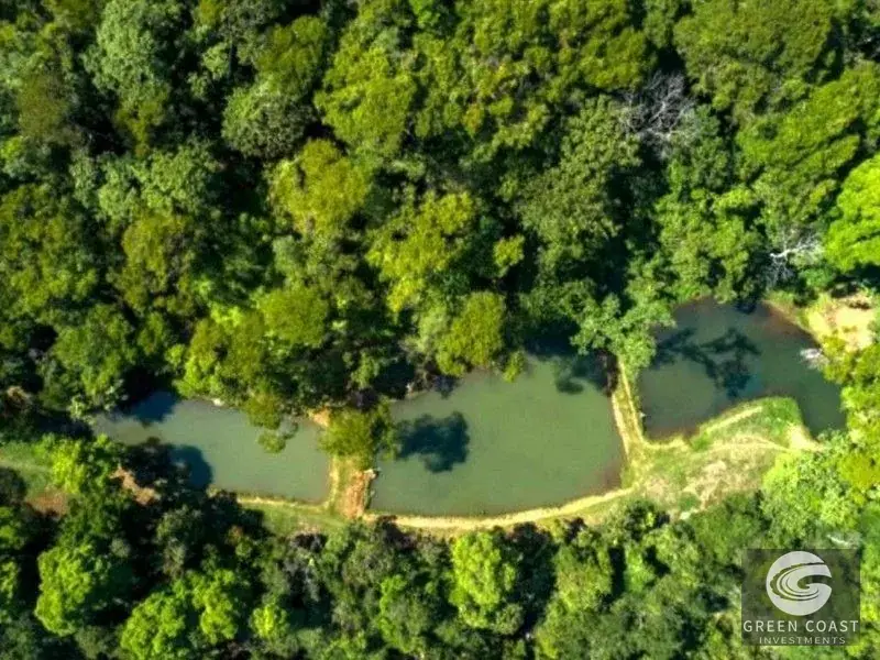 San Isidro Riverfront Farm: 30 Acres with 6 Private Lakes, Springs & Rustic Furnished Home — view 9, Perez Zeledon, Costa Rica