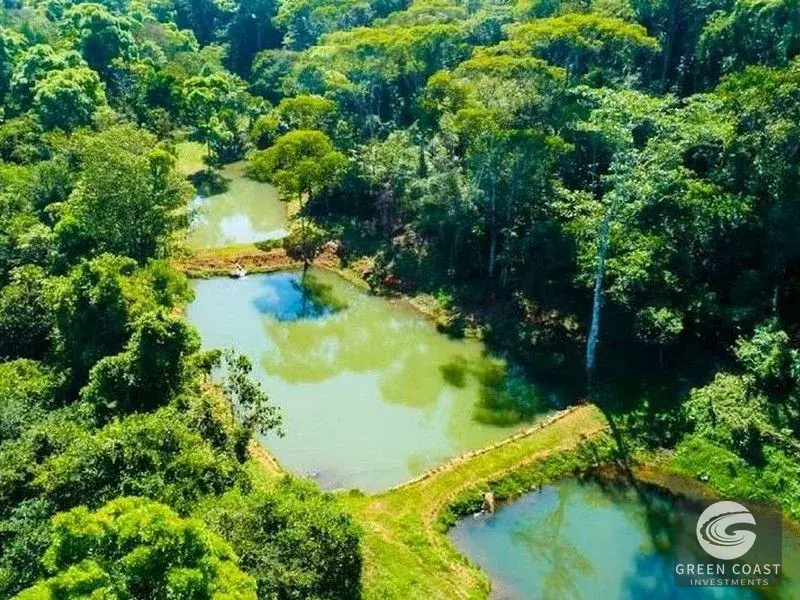 San Isidro Riverfront Farm: 30 Acres with 6 Private Lakes, Springs & Rustic Furnished Home — view 14, Perez Zeledon, Costa Rica