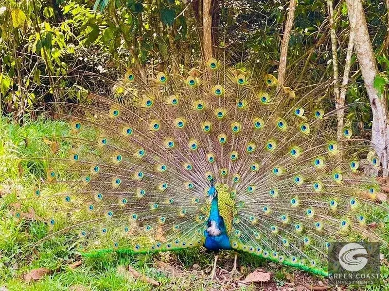 San Isidro Riverfront Farm: 30 Acres with 6 Private Lakes, Springs & Rustic Furnished Home — view 16, Perez Zeledon, Costa Rica