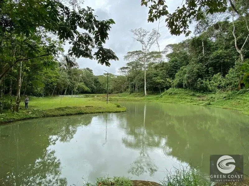 San Isidro Riverfront Farm: 30 Acres with 6 Private Lakes, Springs & Rustic Furnished Home — view 22, Perez Zeledon, Costa Rica