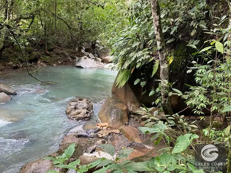 San Isidro Riverfront Farm: 30 Acres with 6 Private Lakes, Springs & Rustic Furnished Home — view 23, Perez Zeledon, Costa Rica