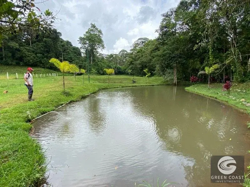 San Isidro Riverfront Farm: 30 Acres with 6 Private Lakes, Springs & Rustic Furnished Home — view 27, Perez Zeledon, Costa Rica
