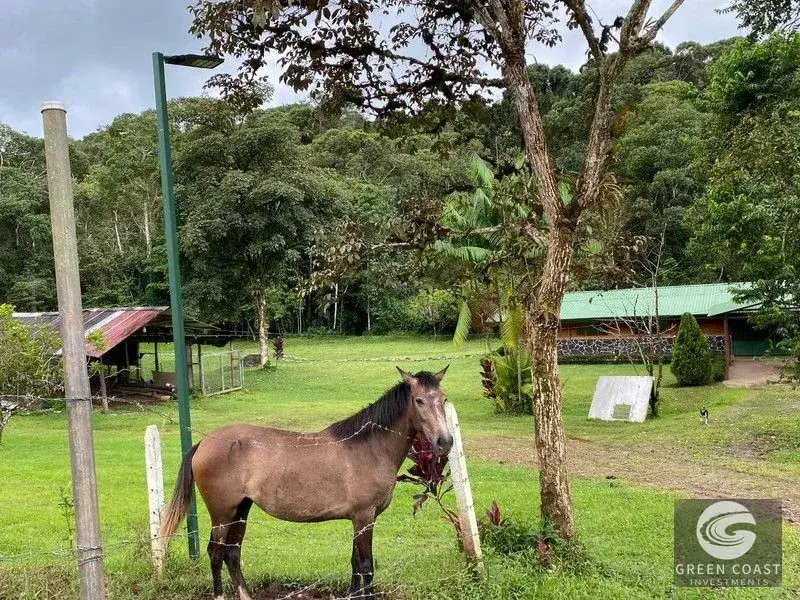 San Isidro Riverfront Farm: 30 Acres with 6 Private Lakes, Springs & Rustic Furnished Home — view 29, Perez Zeledon, Costa Rica