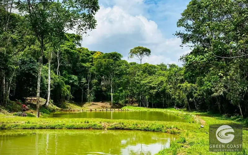 San Isidro Riverfront Farm: 30 Acres with 6 Private Lakes, Springs & Rustic Furnished Home — view 39, Perez Zeledon, Costa Rica
