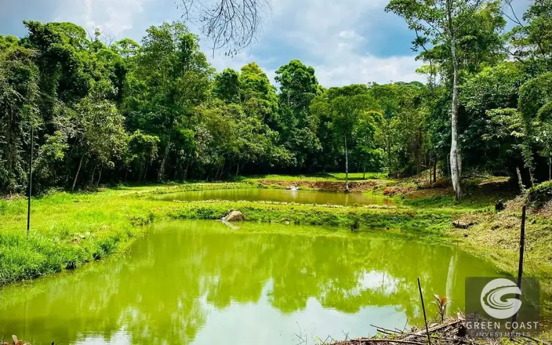 San Isidro Riverfront Farm: 30 Acres with 6 Private Lakes, Springs & Rustic Furnished Home — view 41, Perez Zeledon, Costa Rica