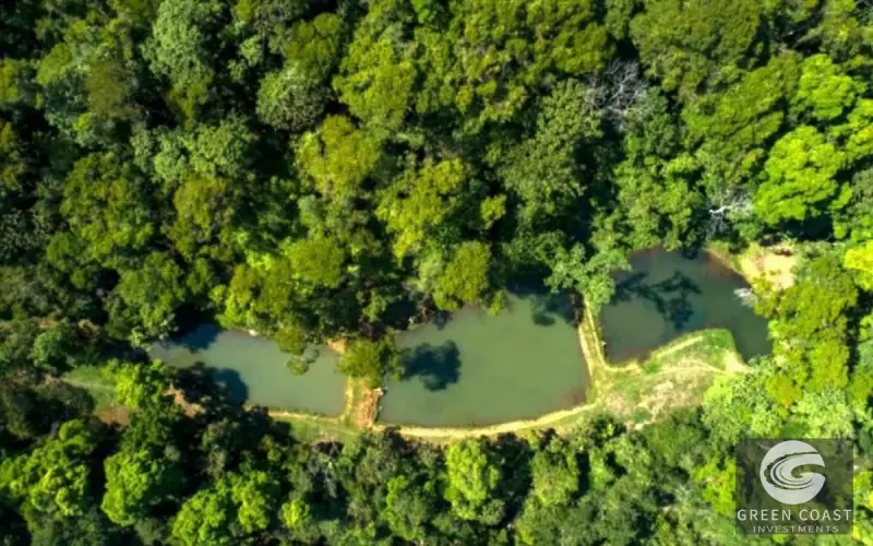 San Isidro Riverfront Farm: 30 Acres with 6 Private Lakes, Springs & Rustic Furnished Home — view 42, Perez Zeledon, Costa Rica