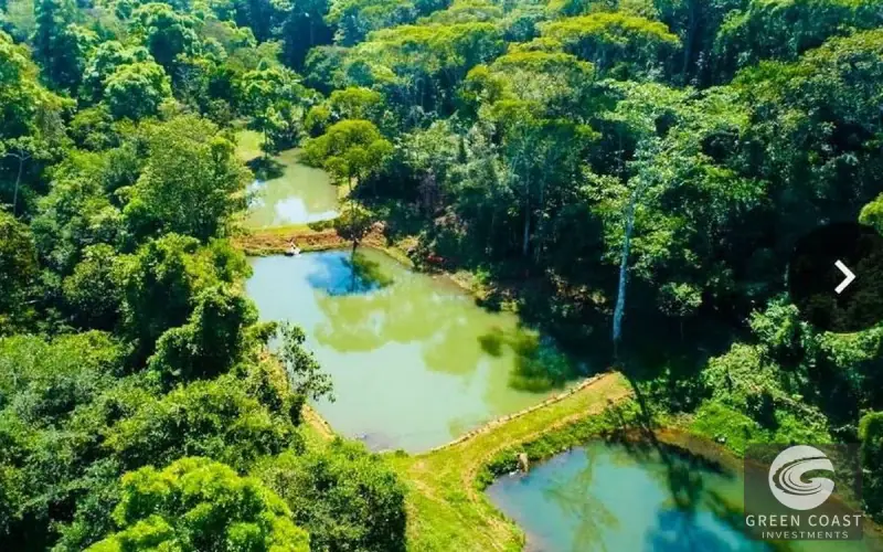San Isidro Riverfront Farm: 30 Acres with 6 Private Lakes, Springs & Rustic Furnished Home — view 47, Perez Zeledon, Costa Rica