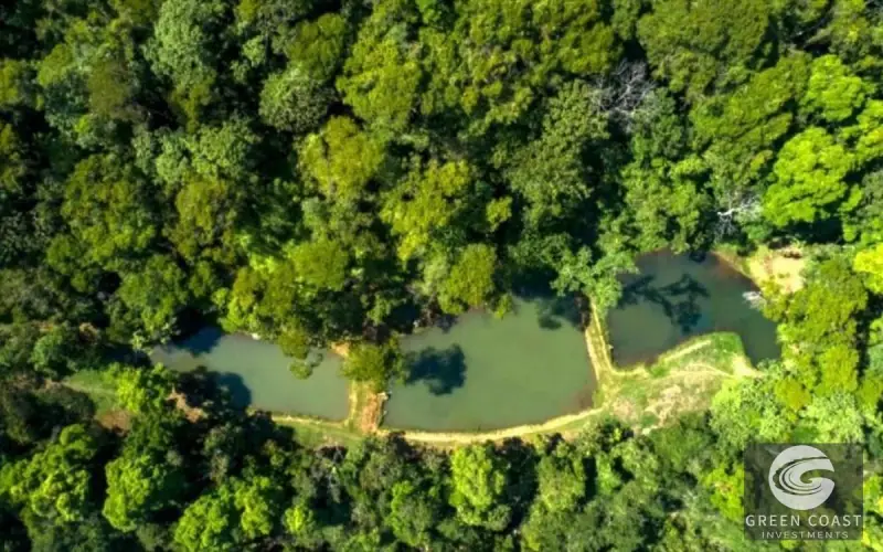 San Isidro Riverfront Farm: 30 Acres with 6 Private Lakes, Springs & Rustic Furnished Home — view 48, Perez Zeledon, Costa Rica