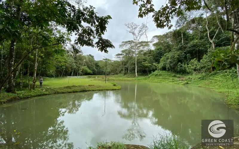 San Isidro Riverfront Farm: 30 Acres with 6 Private Lakes, Springs & Rustic Furnished Home — view 55, Perez Zeledon, Costa Rica