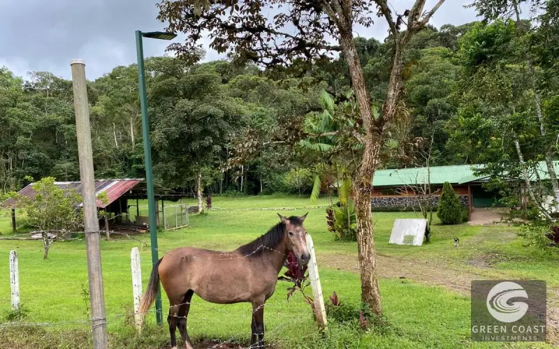 San Isidro Riverfront Farm: 30 Acres with 6 Private Lakes, Springs & Rustic Furnished Home — view 62, Perez Zeledon, Costa Rica