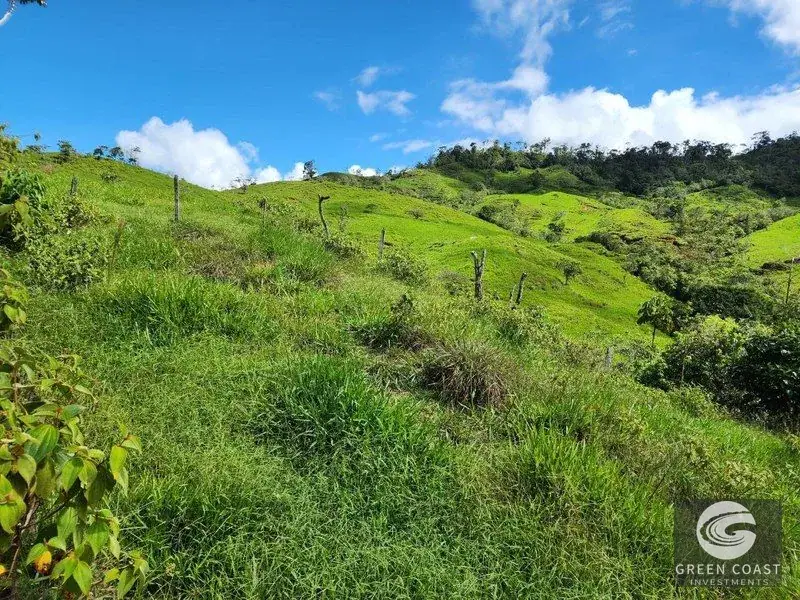 153-Acre Ocean & Mountain View Development Farm in Pérez Zeledón — view 10, Santa Rosa, Perez Zeledon, Costa Rica