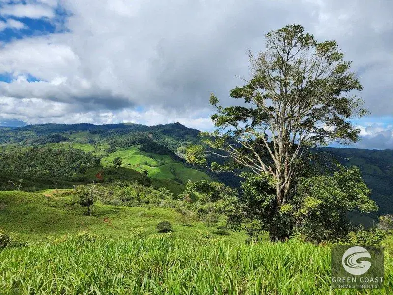 153-Acre Ocean & Mountain View Development Farm in Pérez Zeledón — view 20, Santa Rosa, Perez Zeledon, Costa Rica