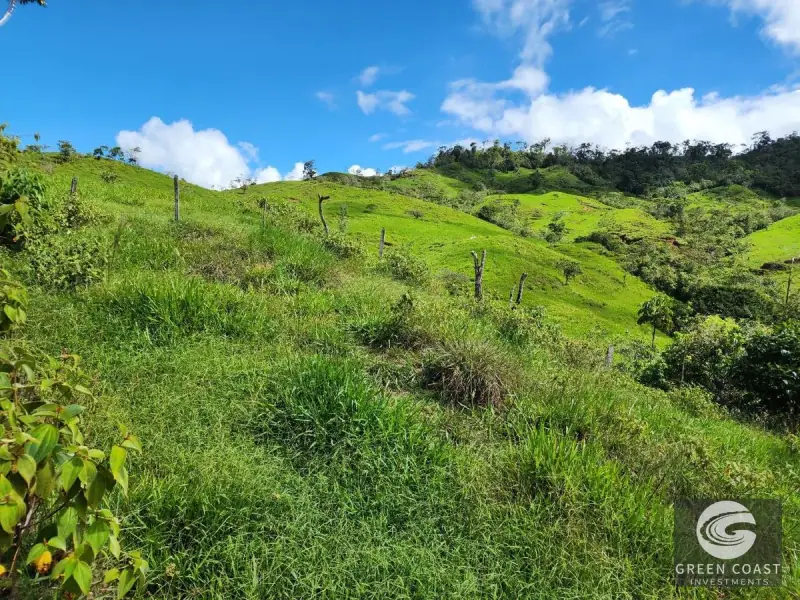 153-Acre Ocean & Mountain View Development Farm in Pérez Zeledón — view 38, Santa Rosa, Perez Zeledon, Costa Rica