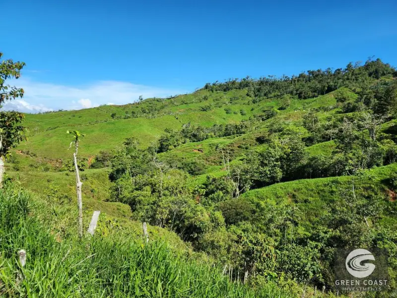 153-Acre Ocean & Mountain View Development Farm in Pérez Zeledón — view 39, Santa Rosa, Perez Zeledon, Costa Rica