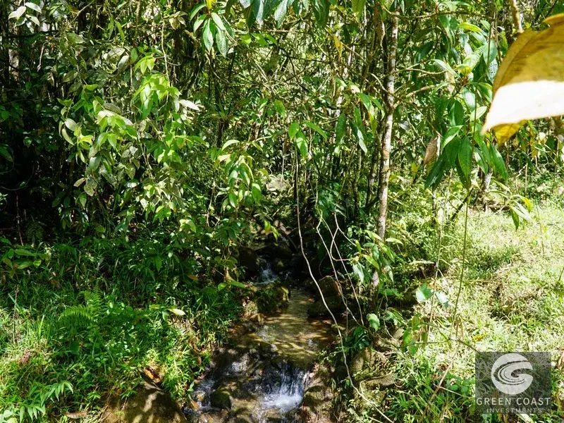 45-Acre Riverfront Farm with Scenic Cabin and Endless Building Sites in Perez Zeledon — view 11, Perez Zeledon, Costa Rica